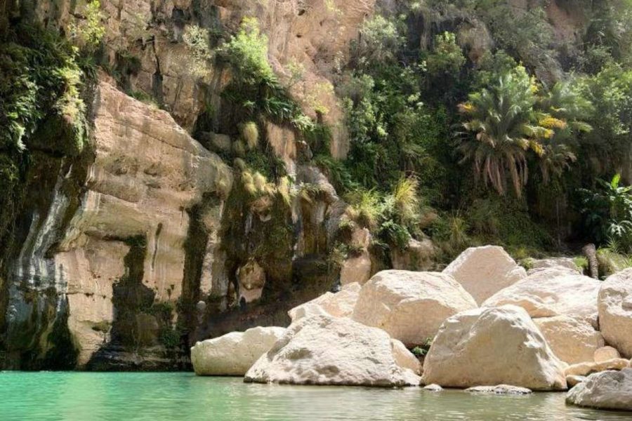 Wadi Tiwi – Day Trip